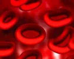 anemia y glóbulos rojos