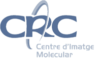logo Centre Imatge Molecular