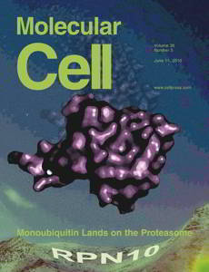 portada revista junio 2010 Molecular Cell