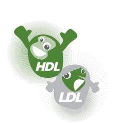 colesterol malo y bueno HDL LDL
