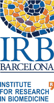 logo IRB barcelona