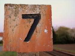 numero siete