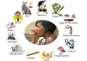 prevención del asma