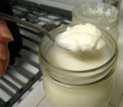yogurt natural