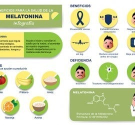 infografía sobre la Melatonina