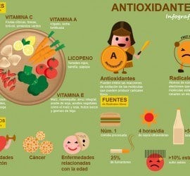infografía sobre los antioxidantes - fuentes, beneficios, radicales libres
