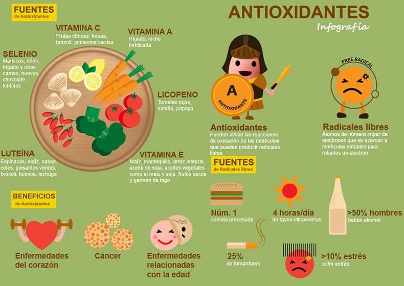 infografía sobre los antioxidantes - fuentes, beneficios, radicales libres