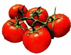 tomates ricos en antioxidantes