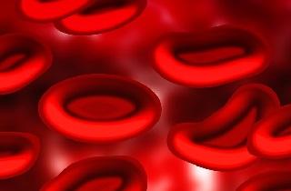 plasma de sangre
