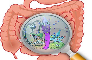 intestino con toxinas y bacterias