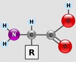 estructura de un alpha aminoácido