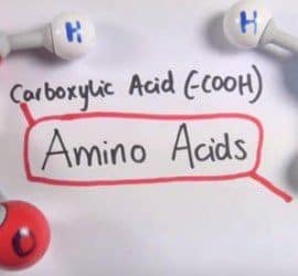 estructura de los aminoácidos