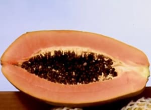 fruta papaya