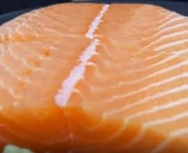 pescado salmón